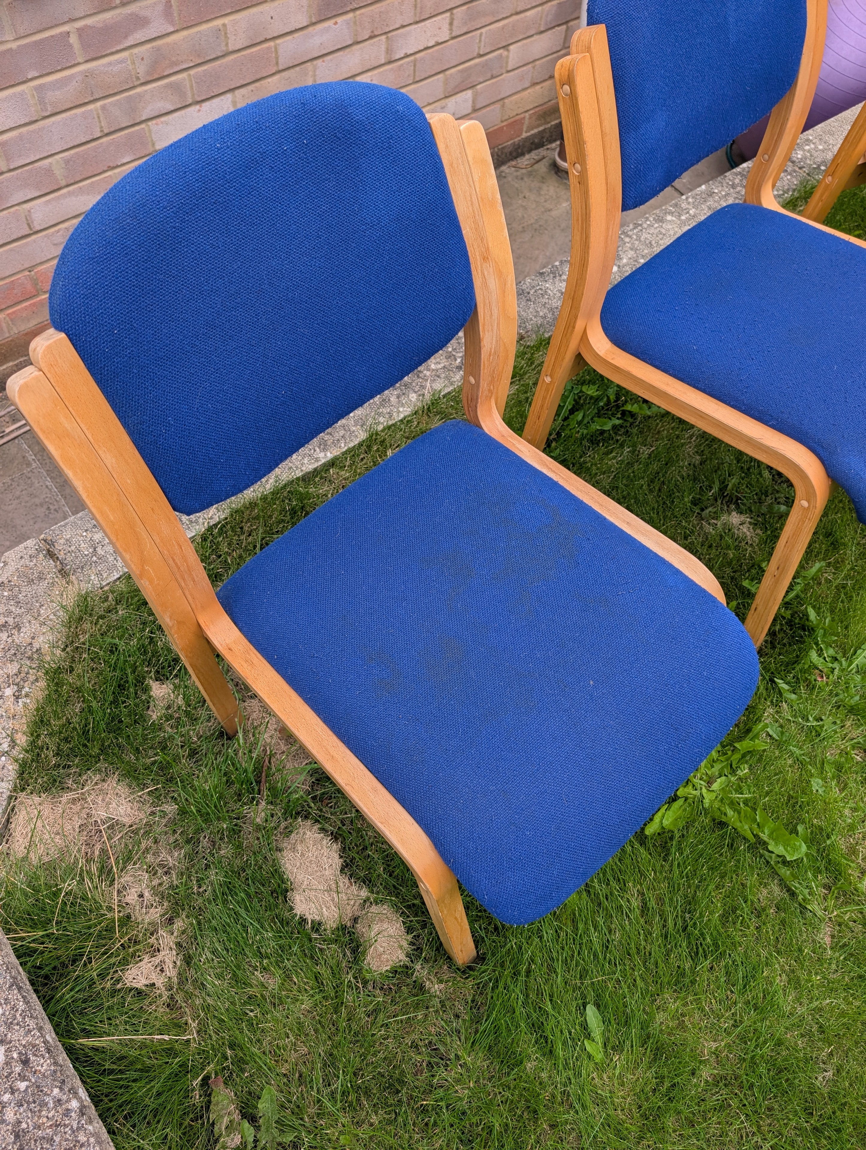 Canteen chairs with visible staining and soiling before professional upholstery cleaning