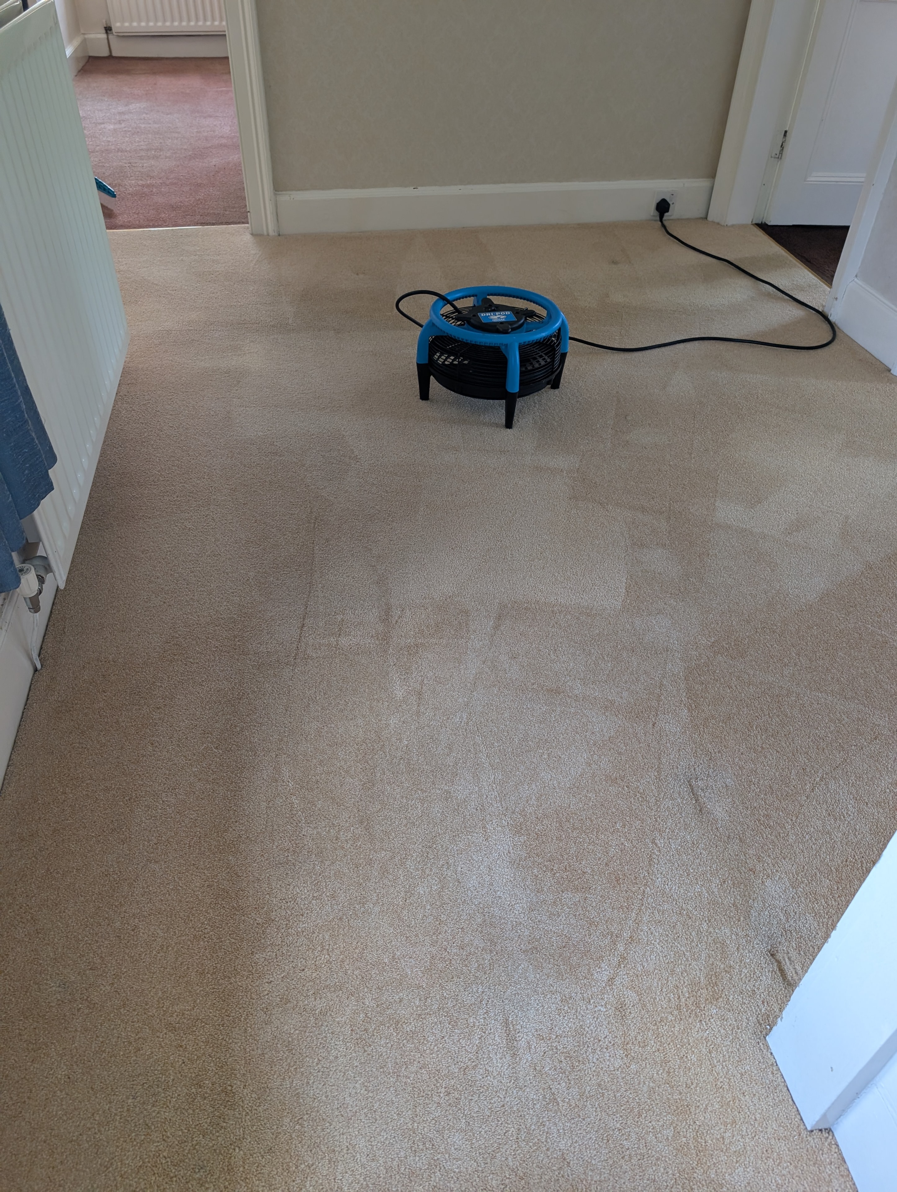 Gosforth wool carpet after hot water extraction cleaning