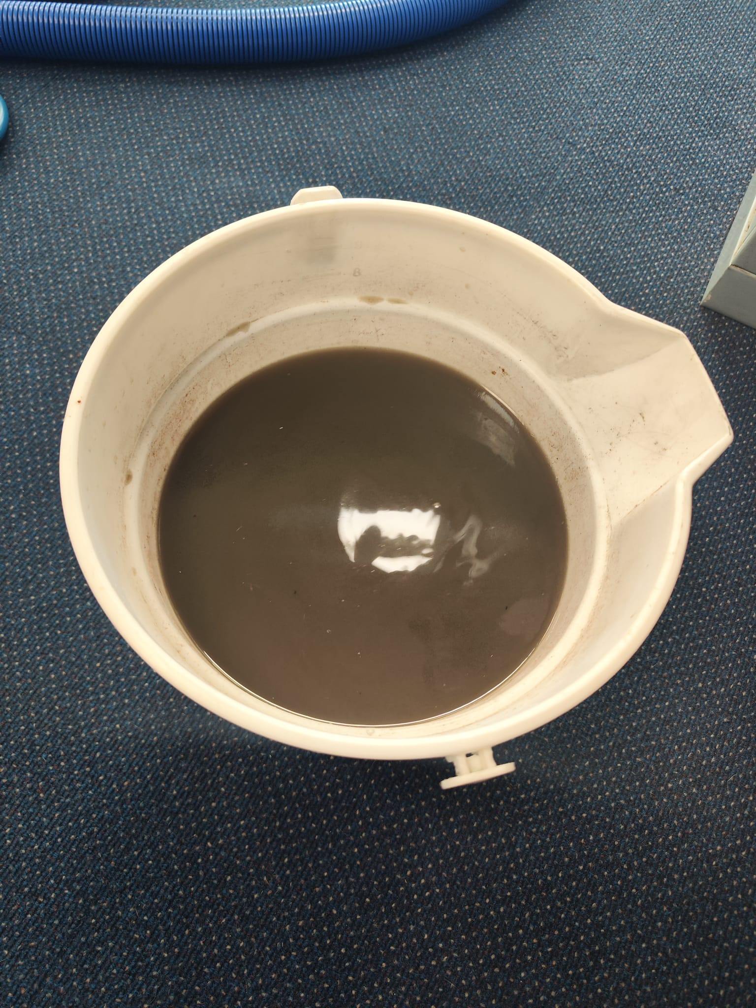Clean carpet after hot water extraction