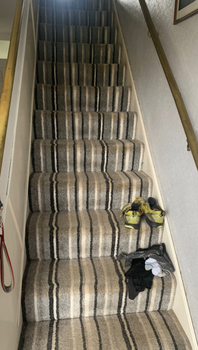 Staircase carpet before cleaning — stained and worn