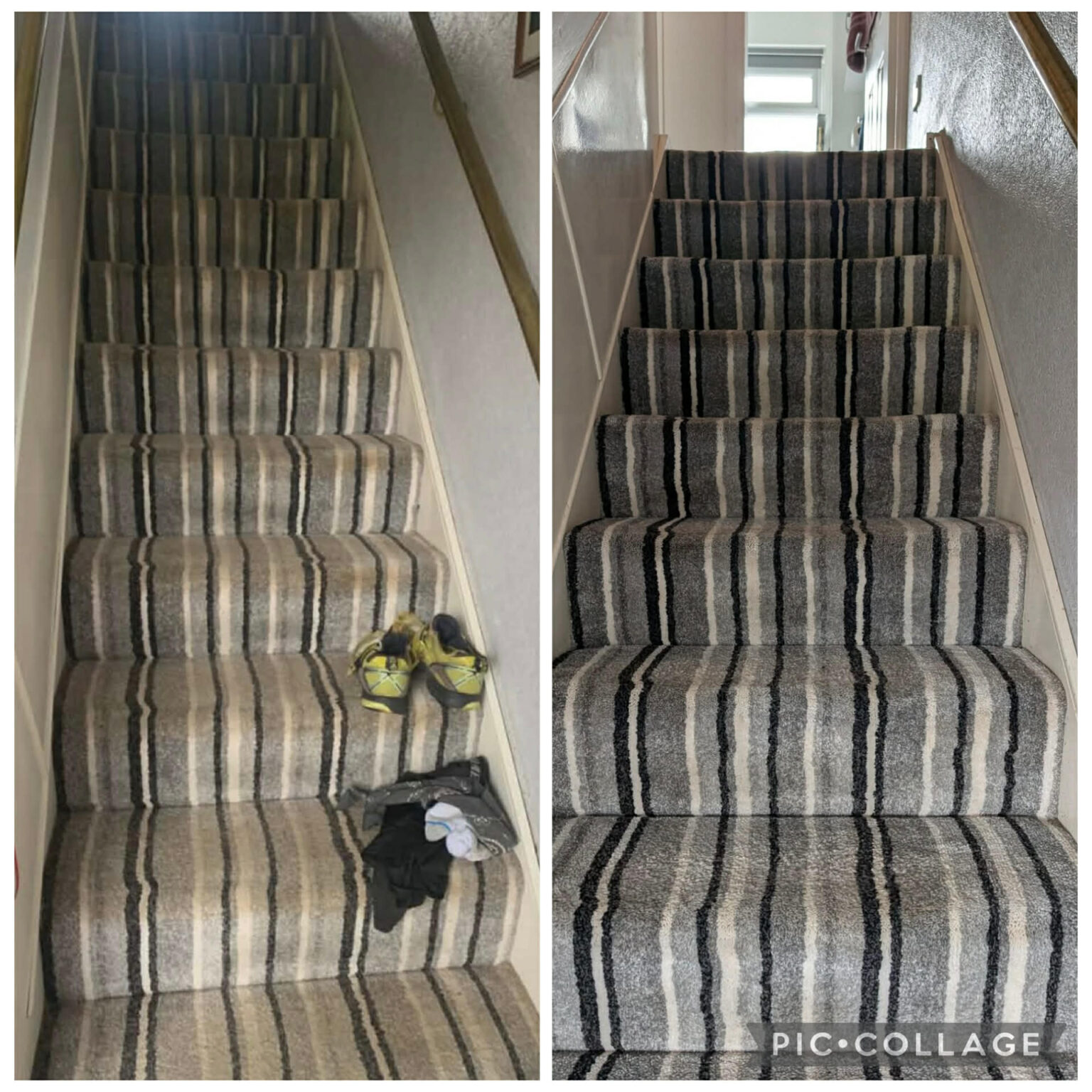 Book carpet cleaning North East